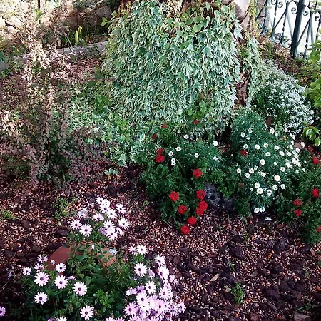 Lägenhet Casa Jardin De La Plata Banos De Montemayor