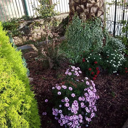 Lägenhet Casa Jardin De La Plata