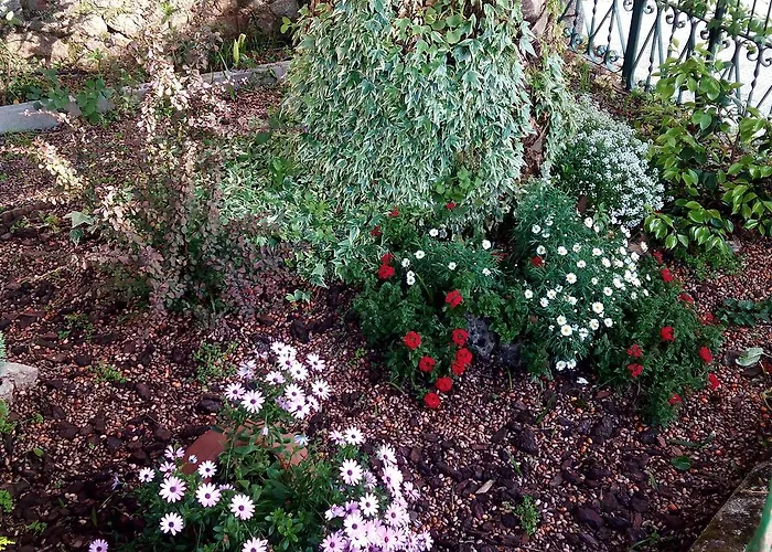 Διαμέρισμα Casa Jardin De La Plata Banos De Montemayor
