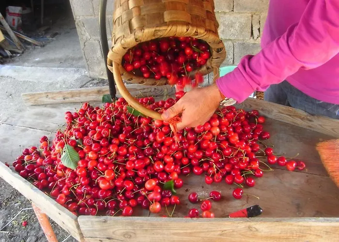 Lägenhet Casa Jardin De La Plata